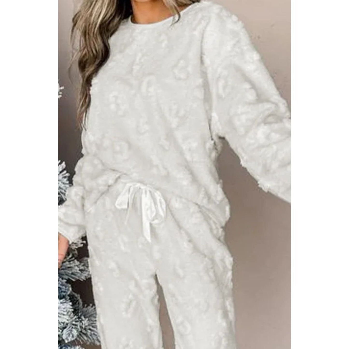 Round Neck Long Sleeve Top and Pants Lounge Set