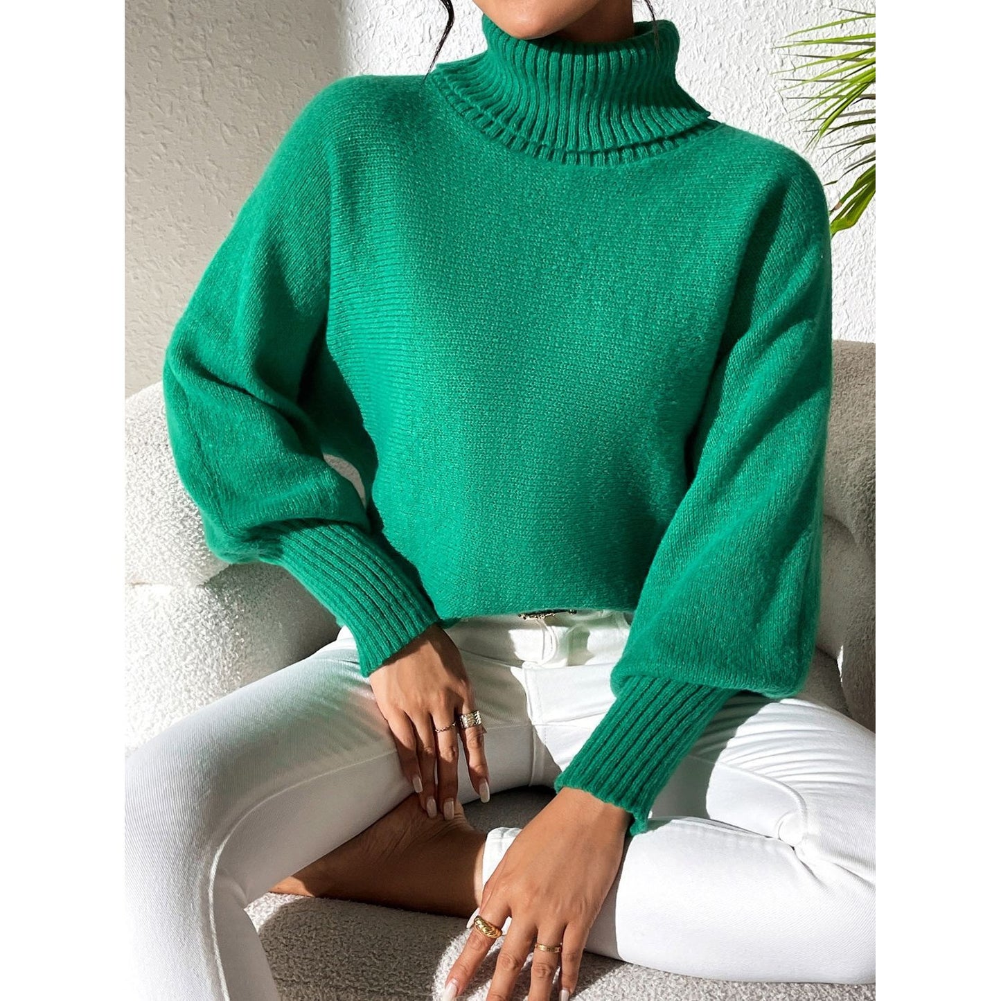 Turtleneck Long Sleeve Sweater