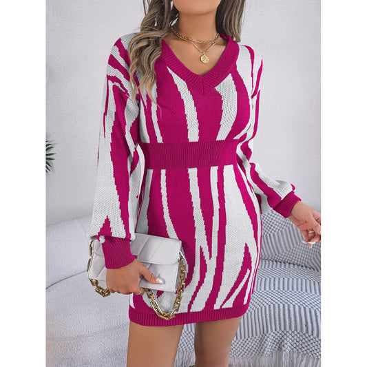 Animal Print V-Neck Long Sleeve Sweater Dress