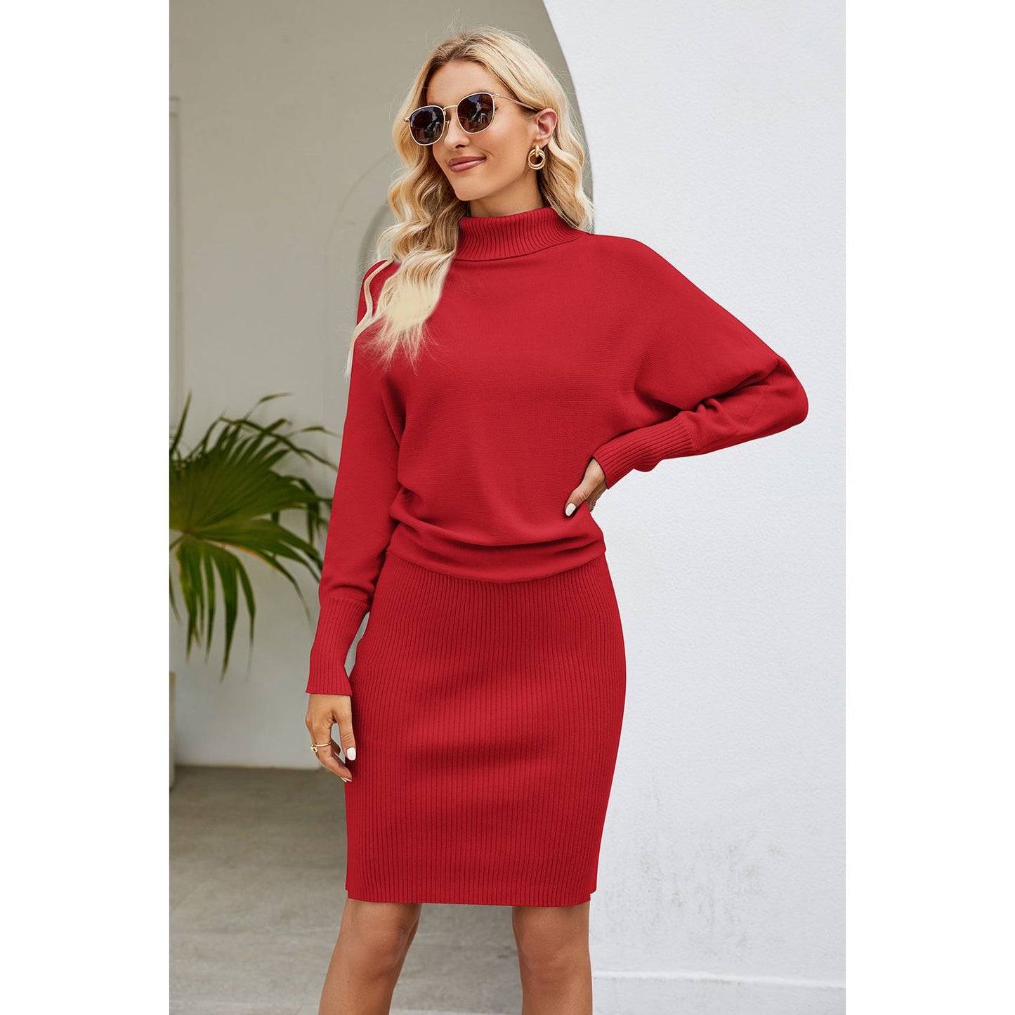 Ribbed Mock Neck Long Sleeve Dress