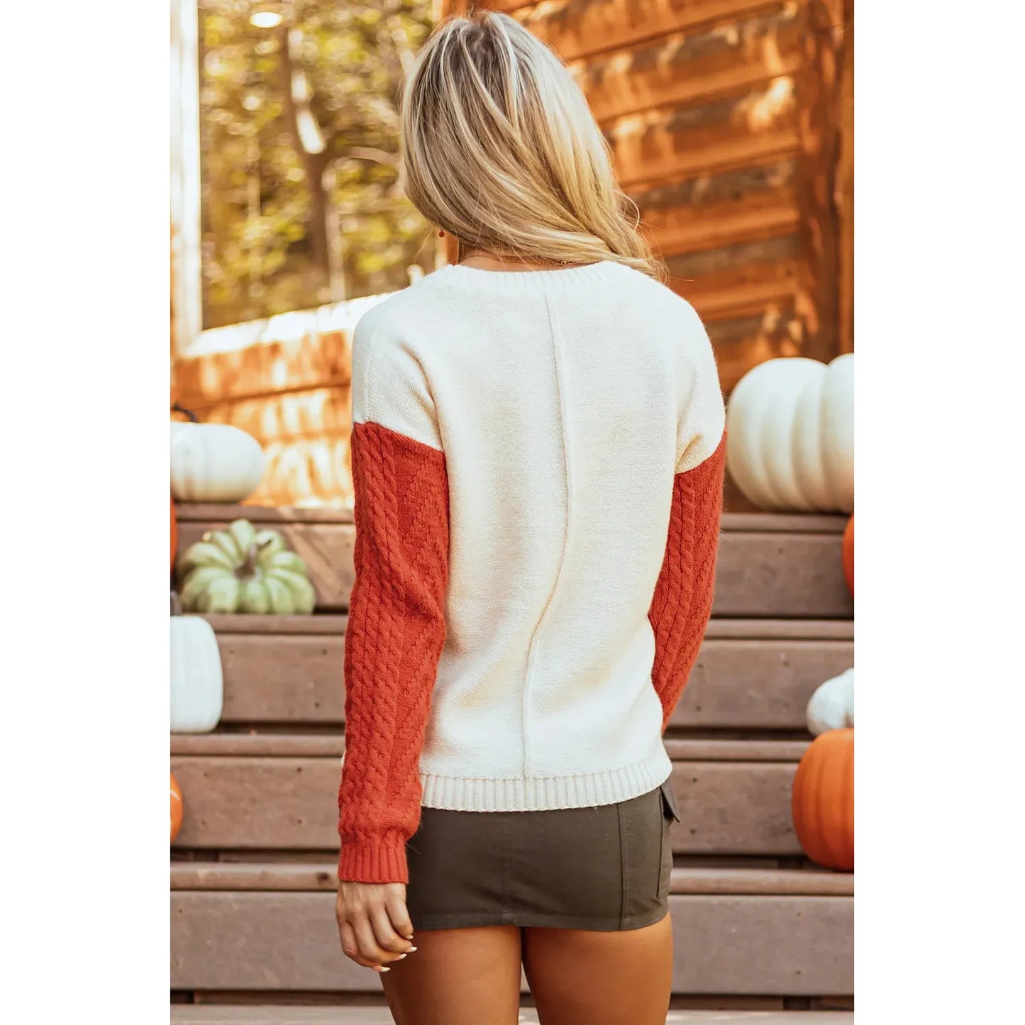 Color Block Round Neck Long Sleeve Sweater