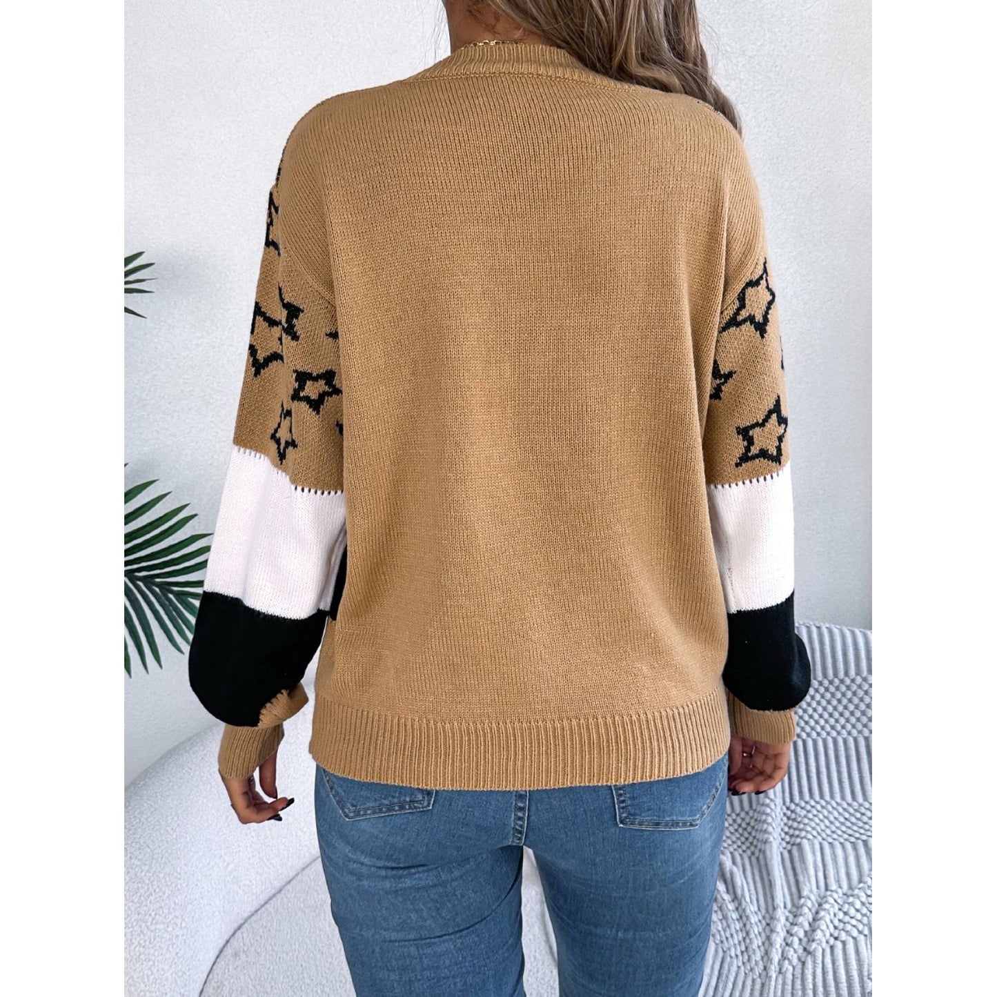 Star Contrast Round Neck Sweater